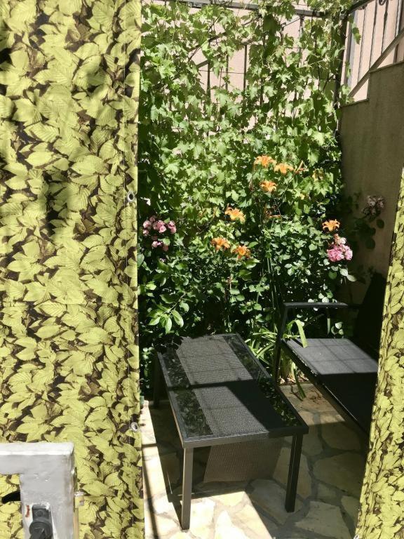 Apartment Ally تْسْغيكفانِتْسا المظهر الخارجي الصورة